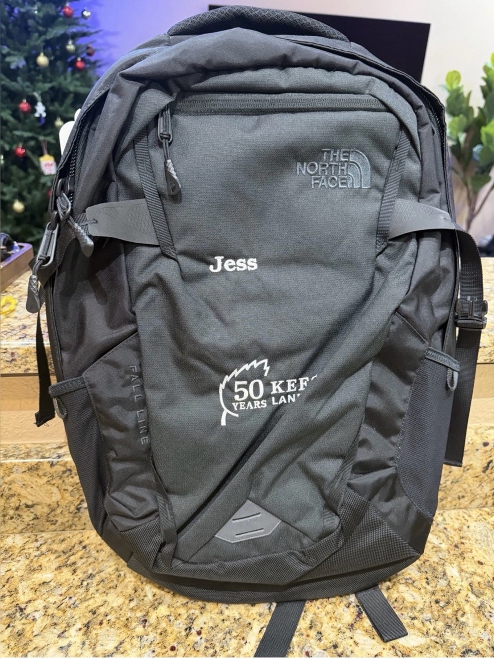 The North Face Fall Line Backpack Black Laptop Travel Bag NF0A3KX7 NEW